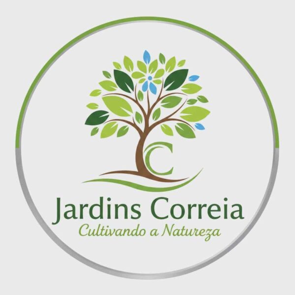 Manutenção de jardins Limpeza de terrenos